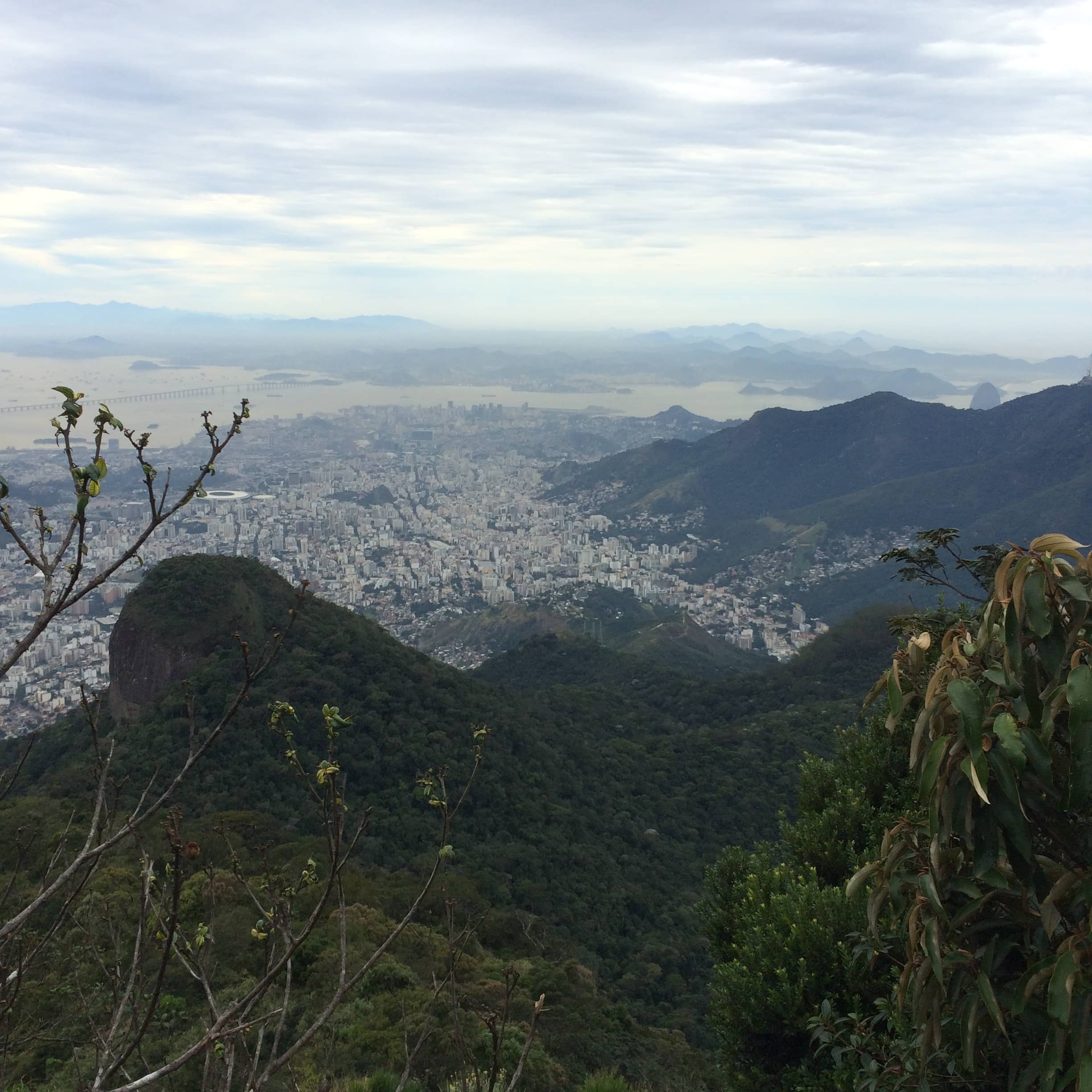 A distant city spreads out beyond green mountain peaks and foreground branches.