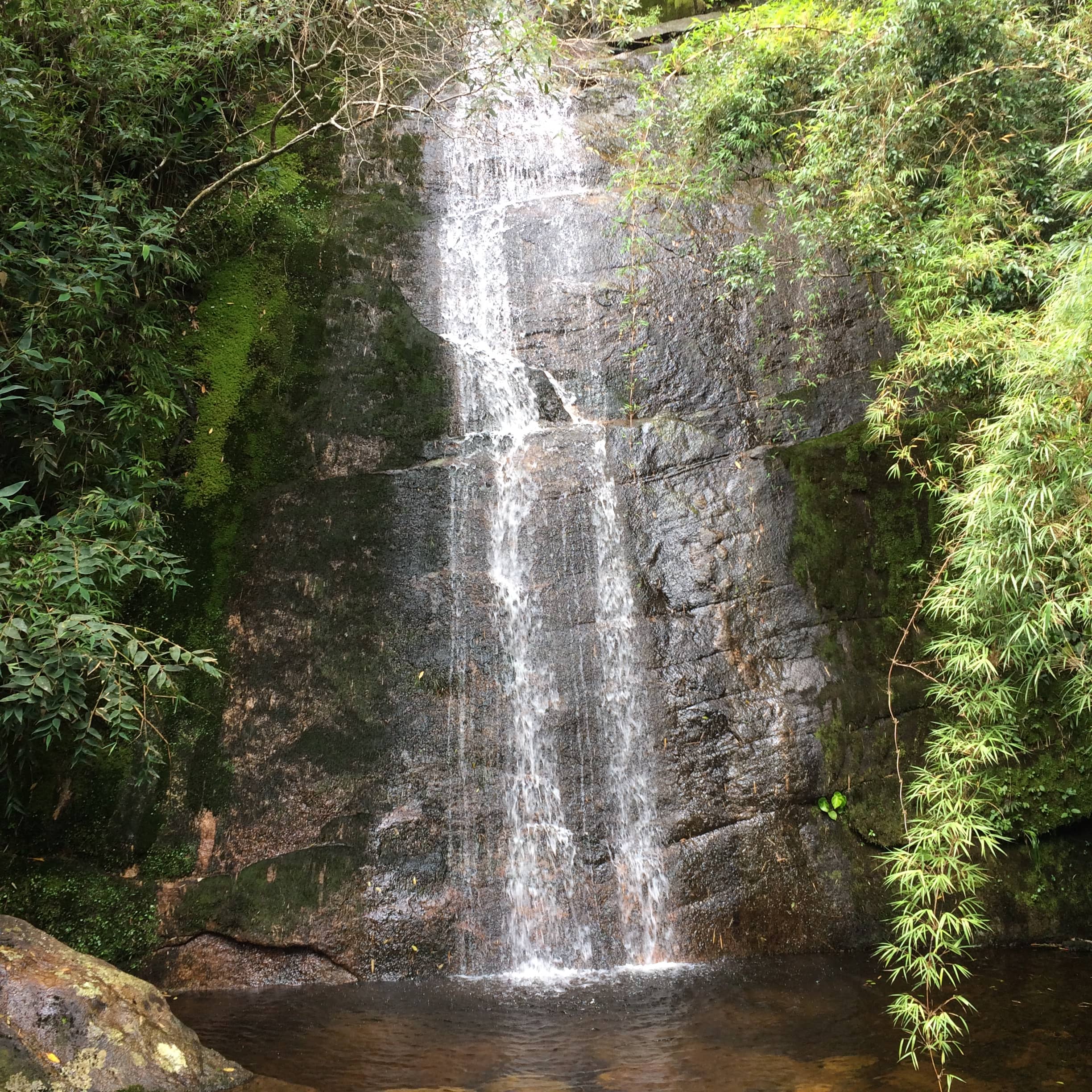 A narrow waterfall cascades down a rock face surrounded by lush vegetation.