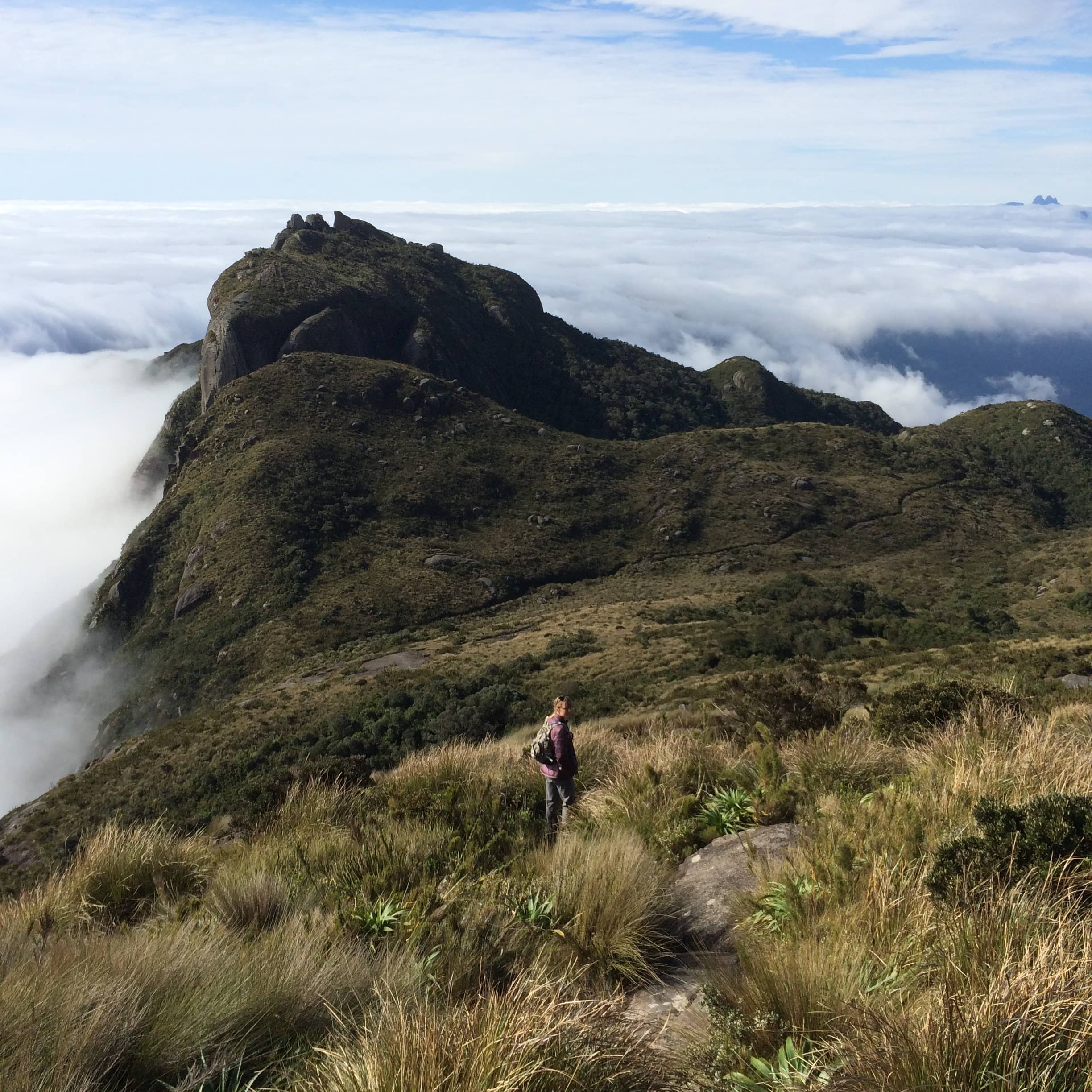 A hiker follows a grassy mountain ridge above the clouds.