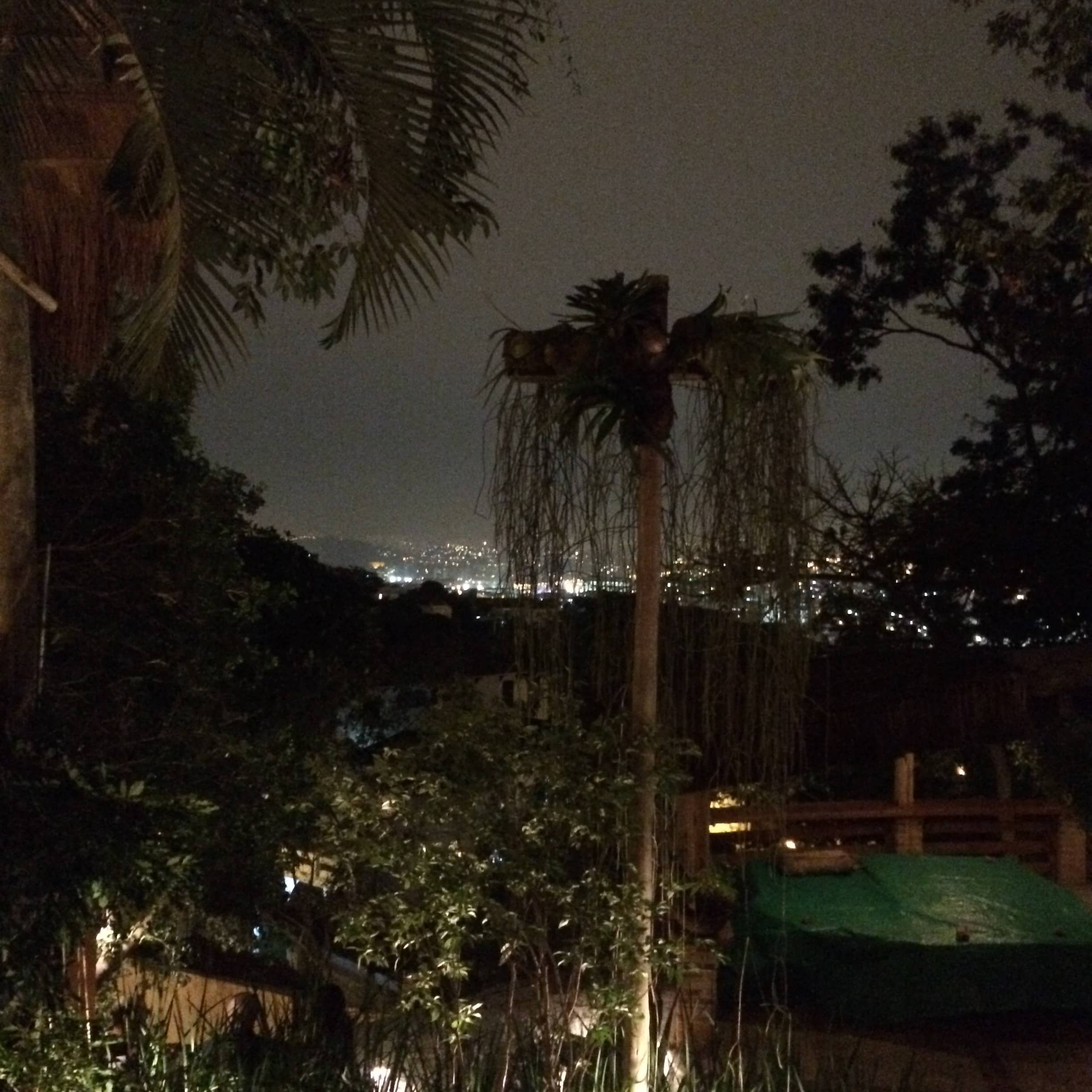 Tall palms rise above a softly illuminated garden after dark.