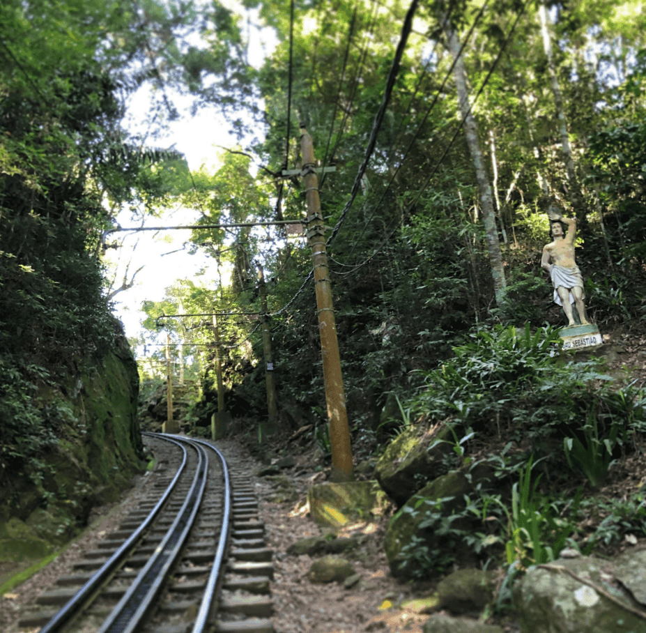 Rail tracks curve through dense tropical vegetation.