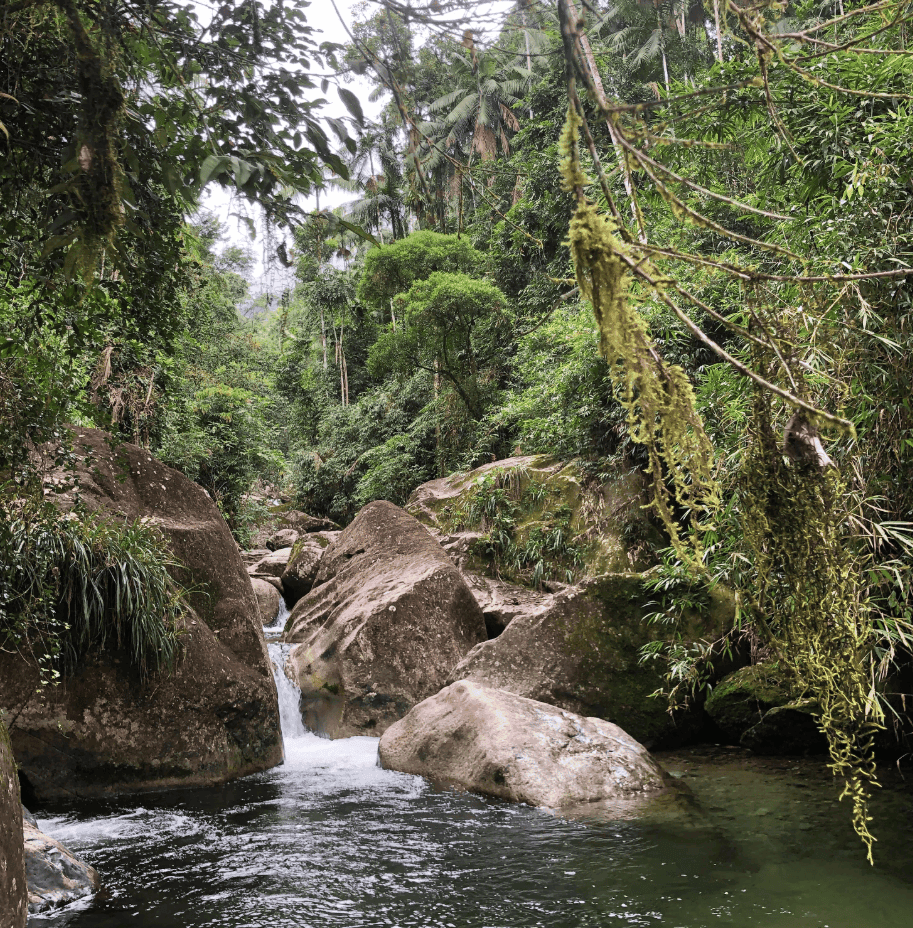 A waterfall tumbles between large mossy rocks into a forest pool.
