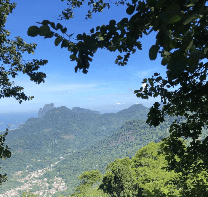 Overhanging leaves frame distant forested mountains beneath a blue sky.