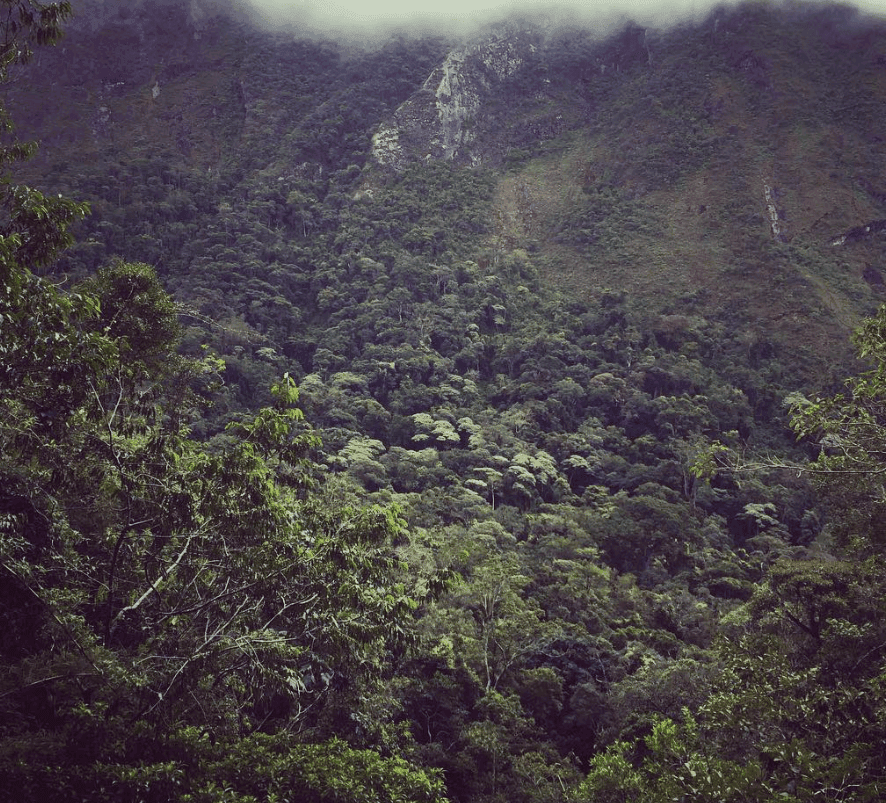 Cloud and mist settle over steep slopes covered in dense vegetation.