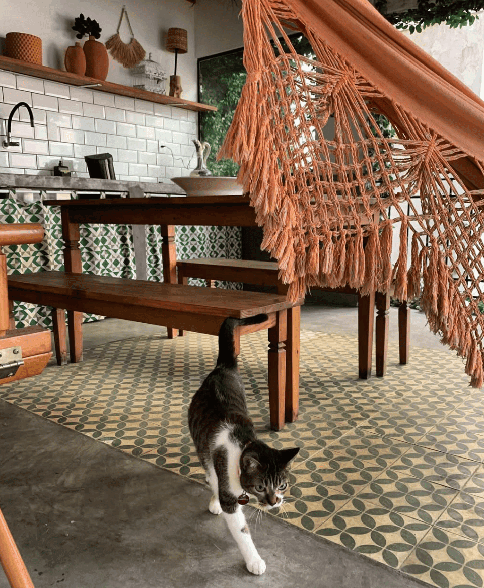 A black-and-white cat walks beneath a peach-colored hammock beside a dining table and tiled kitchen.