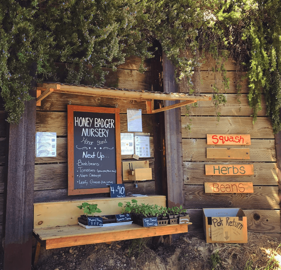 Produce and handwritten signs fill a small wooden roadside farm stand.