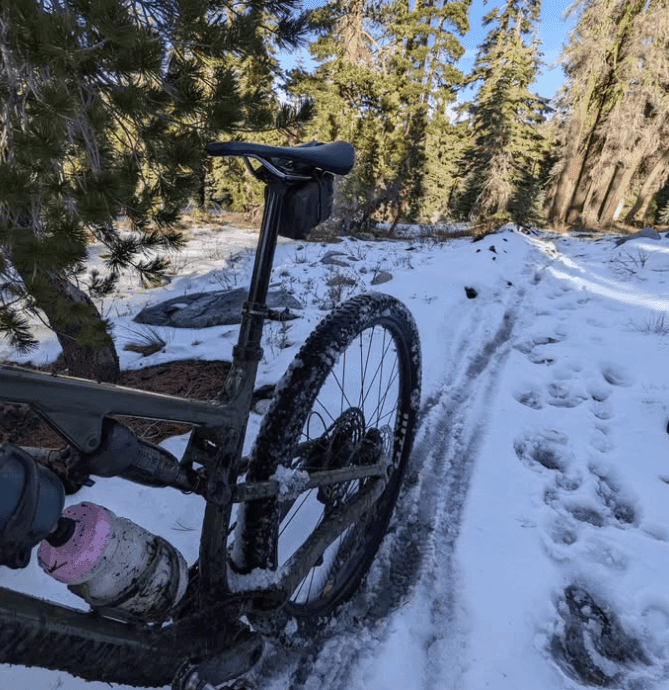 A mountain bike rests beside a snowy trail among evergreen trees.