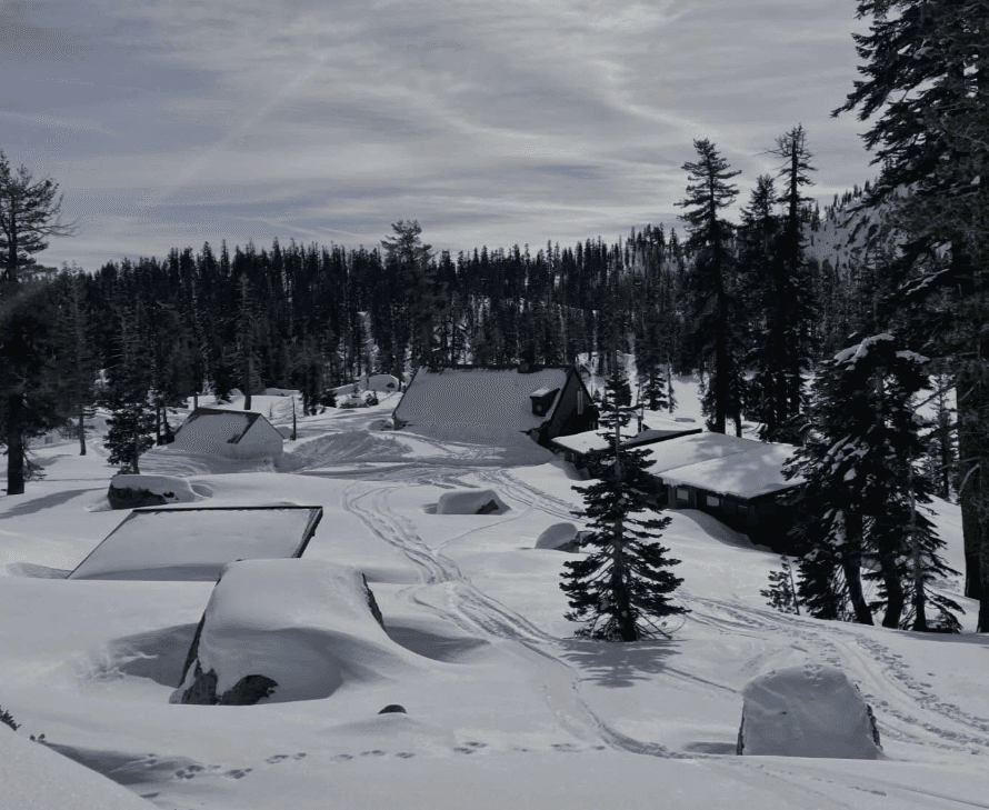 Deep snow blankets picnic tables and small structures in a pine forest.