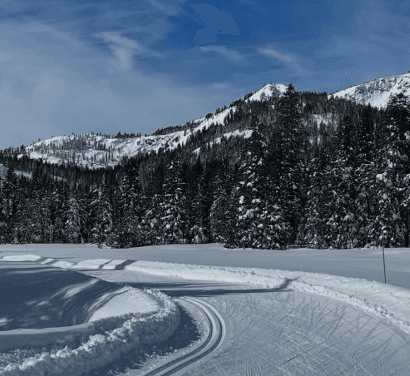 Curving tracks cross a snowy clearing beneath a forested mountain ridge.