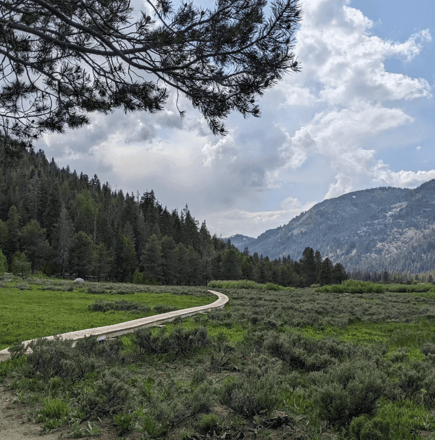 A narrow boardwalk curves through a green meadow beneath rocky mountains.