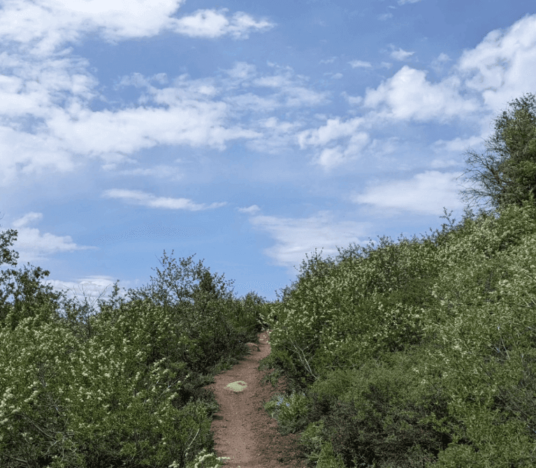 A narrow dirt trail winds between leafy shrubs beneath scattered clouds.