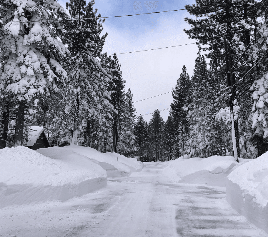 A snow-covered road runs between tall evergreen trees laden with snow.