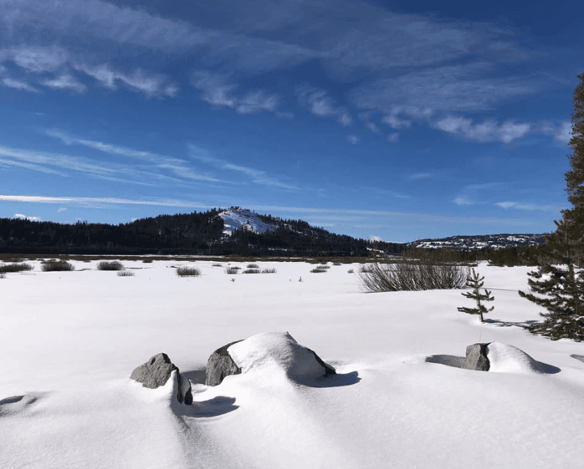 Snow-covered boulders dot an open meadow beneath a blue sky.