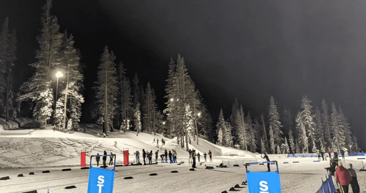 People gather on illuminated snow beneath tall evergreen trees at night.