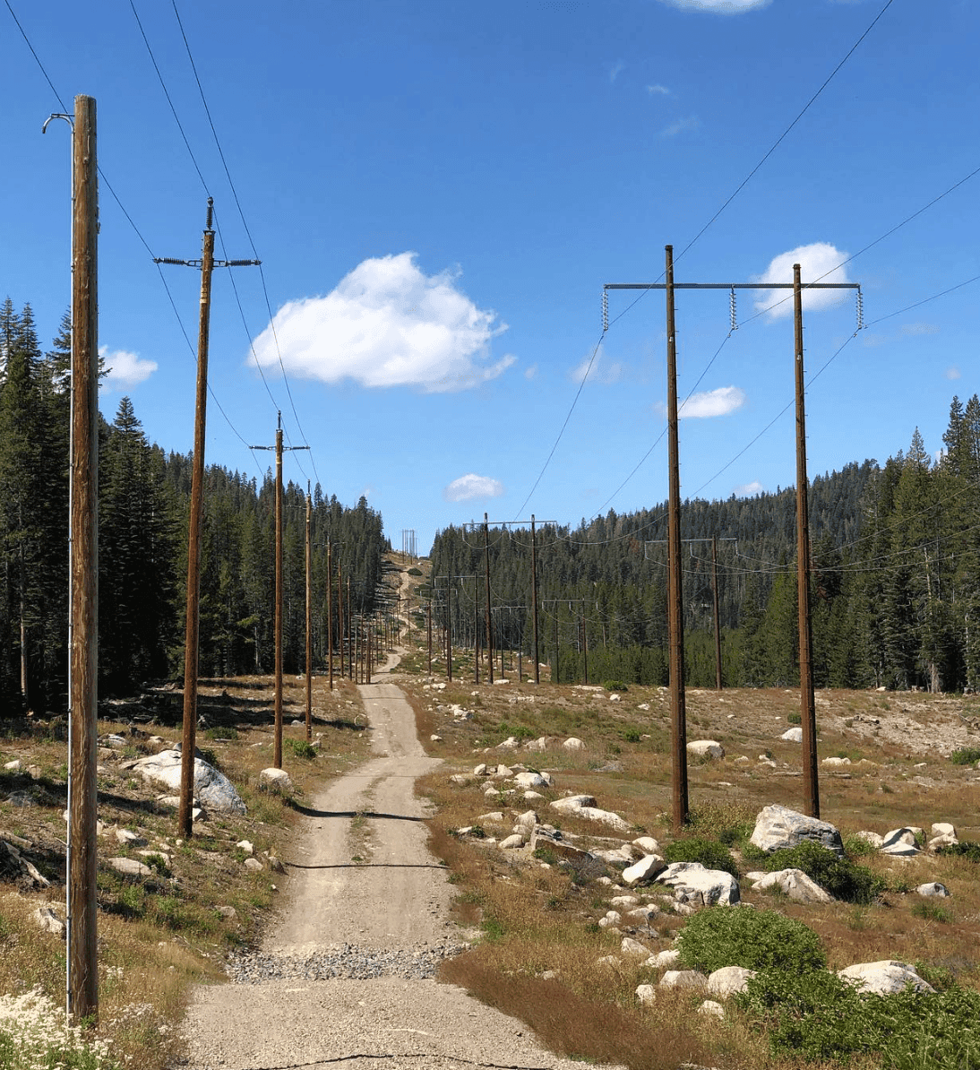 A narrow dirt trail runs through a rocky clearing beneath power lines, with pine forest on either side.